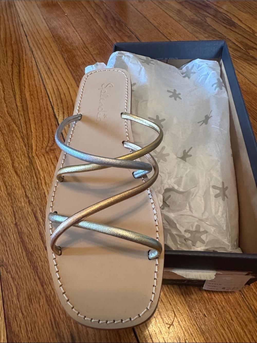 Splendid Frankie Metallic Multi-Strap Slide Sandal in Gold and Silver
